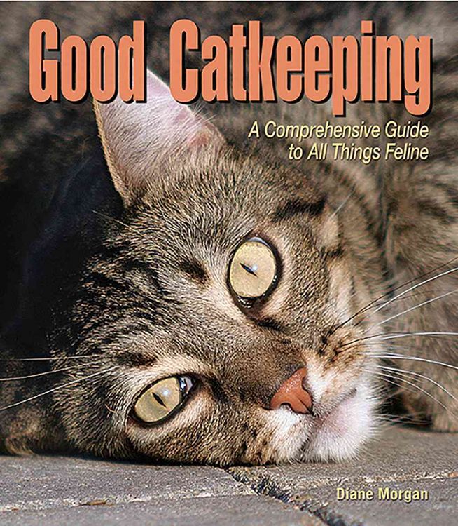 Produktbild: Good Catkeeping