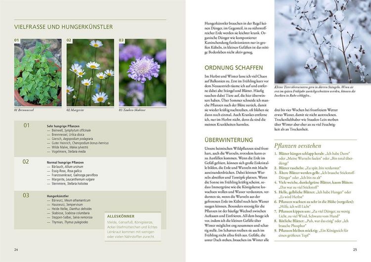Produktbild: Wildkr&auml;uter in T&ouml;pfen & K&uuml;beln