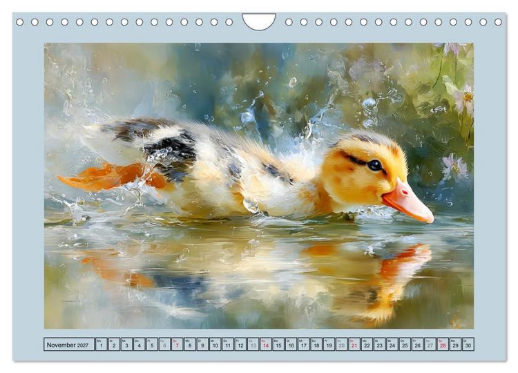 Produktbild: Zwergenten. Bezaubernde Schreih&auml;lse in der Natur (Wandkalender 2027 DIN A4 quer), CALVENDO Monatskalender