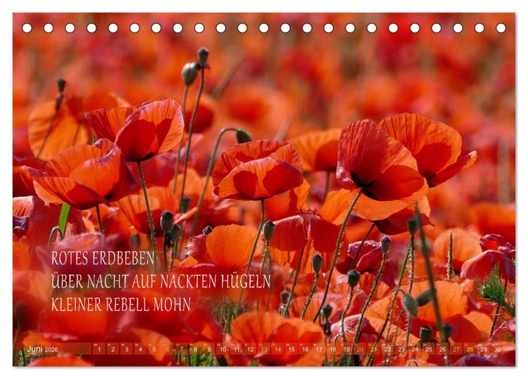 Produktbild: Haiku Poesie in Wort und Bild (Tischkalender 2026 DIN A5 quer), CALVENDO Monatskalender