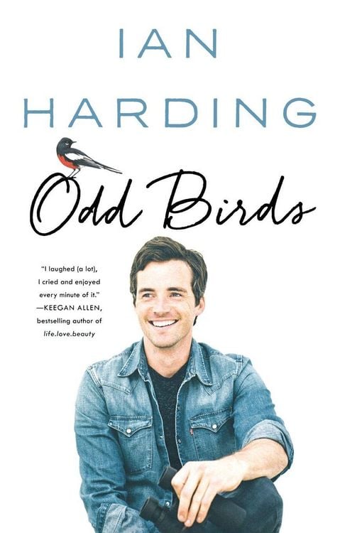 Produktbild: Odd Birds