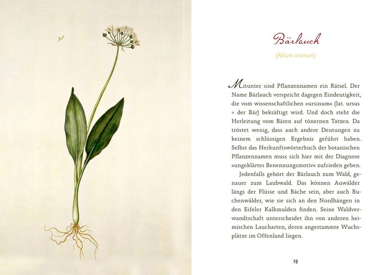 Produktbild: Eifeler Bl&uuml;ten-Lese