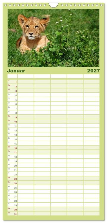 Produktbild: Familienplaner 2027 - Kleine Schelme - Tierbabys mit 5 Spalten (Wandkalender, 21 x 45 cm) CALVENDO