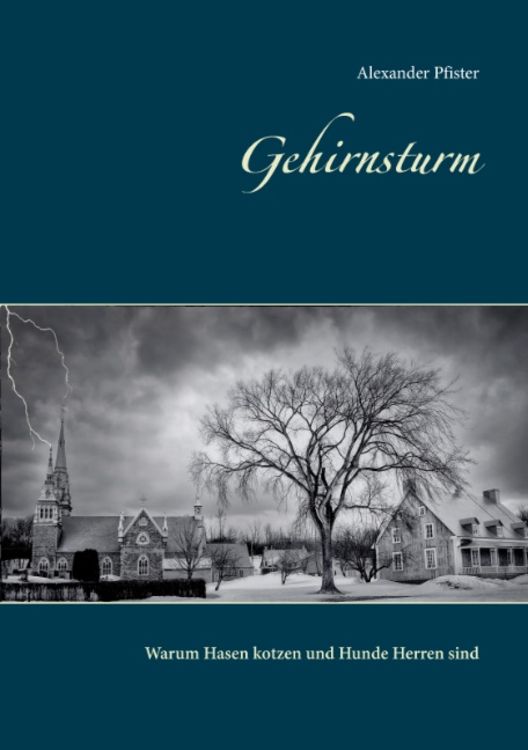 Gehirnsturm