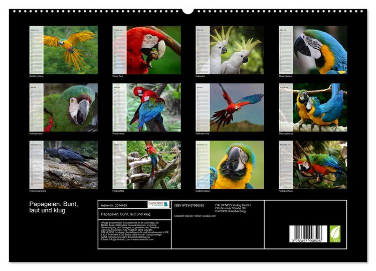 Produktbild: Papageien. Bunt, laut und klug (hochwertiger Premium Wandkalender 2026 DIN A2 quer), Kunstdruck in Hochglanz