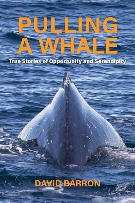 Produktbild: Pulling a Whale: True Stories of Opportunity and Serendipity