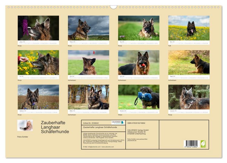 Produktbild: Zauberhafte Langhaar Sch&auml;ferhunde (Wandkalender 2026 DIN A2 quer), CALVENDO Monatskalender