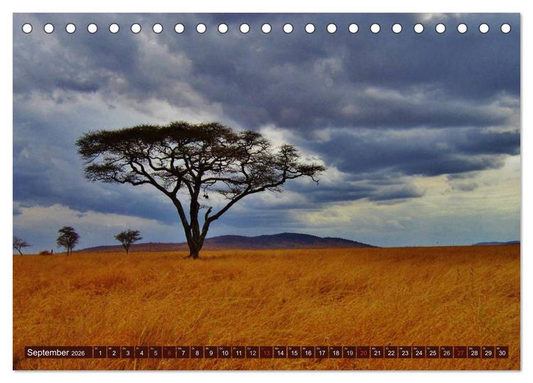 Produktbild: Afrika. Zauber des schwarzen Kontinents (Tischkalender 2026 DIN A5 quer), CALVENDO Monatskalender