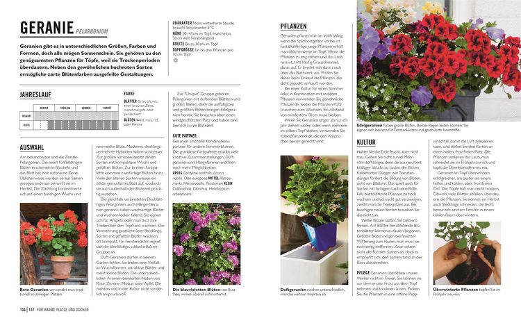 Produktbild: Gr&uuml;nes Gartenwissen. Pflanzen im Topf