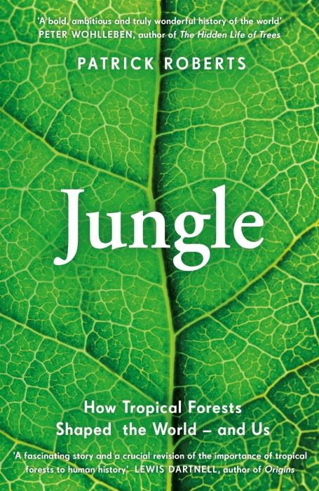 Produktbild: Roberts, P: Jungle