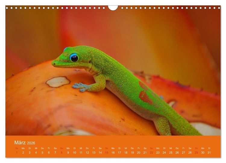 Produktbild: Hawaii Paradies auf Erden (Wandkalender 2026 DIN A3 quer), CALVENDO Monatskalender
