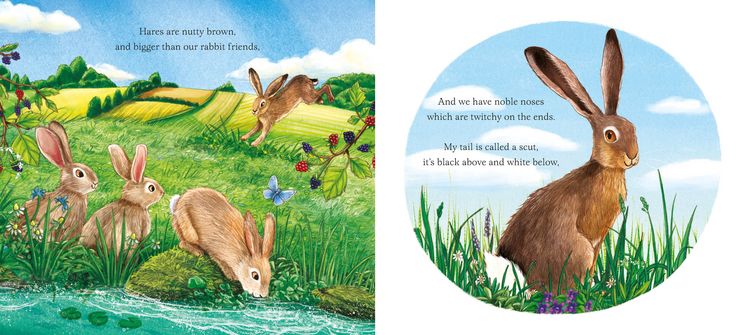 Produktbild: I am Hattie the Hare