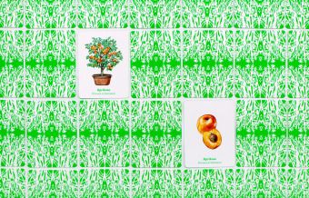 Produktbild: Obst & Gem&uuml;se