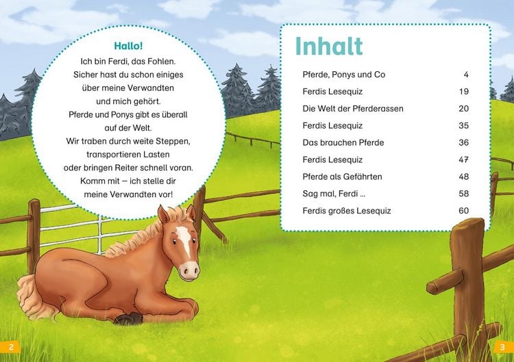 Produktbild: WAS IST WAS Erstes Lesen Band 7. Pferde und Ponys