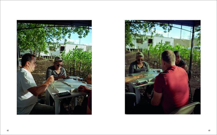 Produktbild: Nicholas Pollack