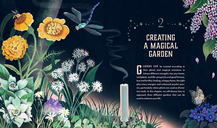 Produktbild: Plant Magic
