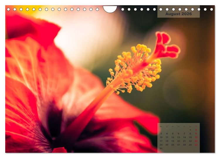 Produktbild: Bl&uuml;ten im Retro-Style (Wandkalender 2026 DIN A4 quer), CALVENDO Monatskalender