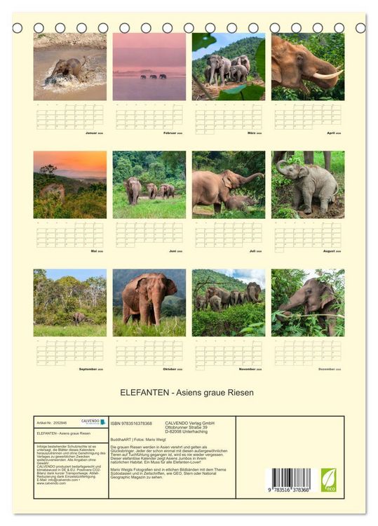 Produktbild: ELEFANTEN - Asiens graue Riesen (Tischkalender 2026 DIN A5 hoch), CALVENDO Monatskalender