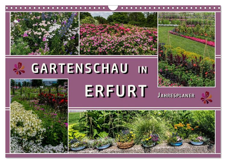 Produktbild: Gartenschau in Erfurt (Wandkalender 2026 DIN A3 quer), CALVENDO Monatskalender