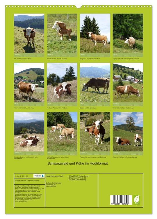 Produktbild: Schwarzwald und K&uuml;he im Hochformat (hochwertiger Premium Wandkalender 2027 DIN A2 hoch), Kunstdruck in Hochglanz