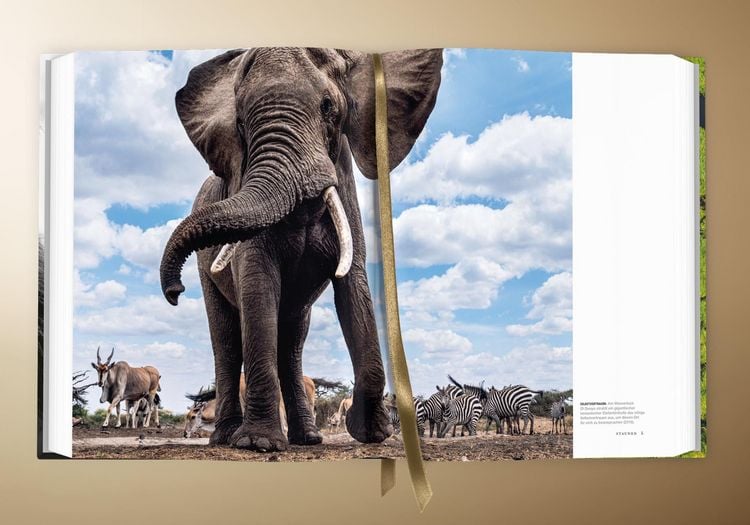 Produktbild: Die Seele Afrikas