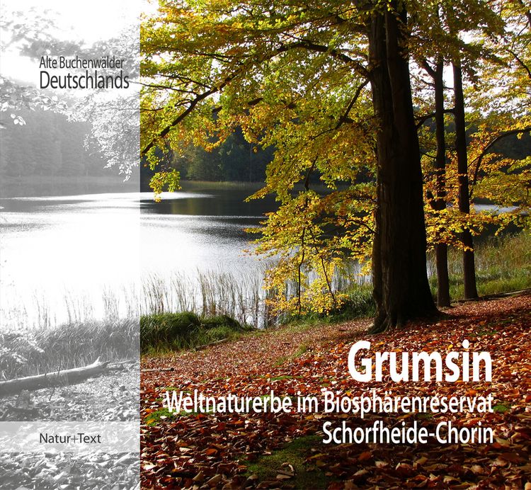 Produktbild: Grumsin