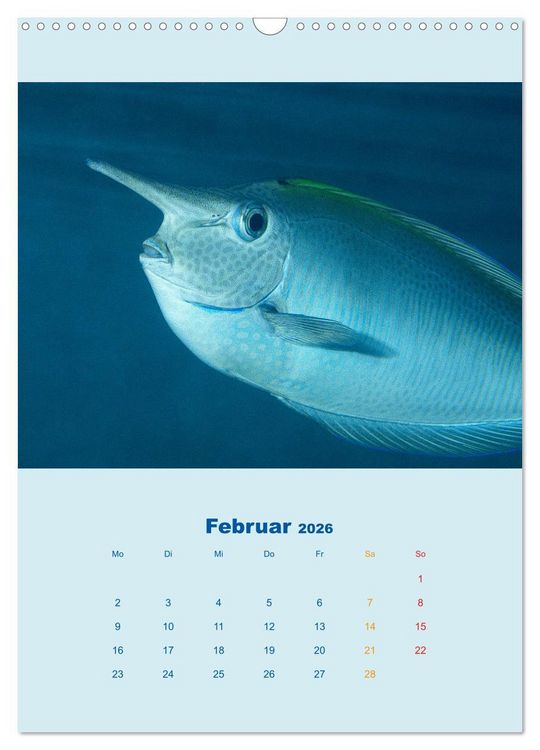 Produktbild: Portraitaufnahmen - Fische (Wandkalender 2026 DIN A3 hoch), CALVENDO Monatskalender