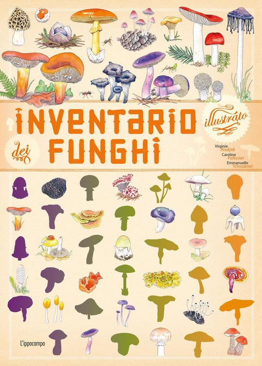 Produktbild: Inventario illustrato dei funghi