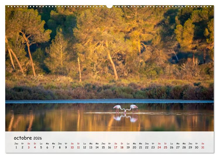 Produktbild: Majorque - Une &icirc;le &agrave; couper le souffle en M&eacute;diterran&eacute;e (Calendrier mural 2026 DIN A2 vertical) calendrier de bureau