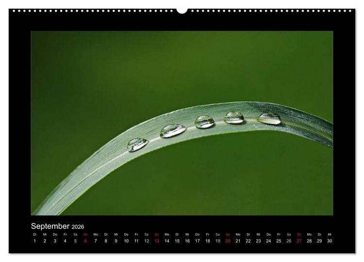 Produktbild: Meine kleine gr&uuml;ne Wassertropfen Welt (hochwertiger Premium Wandkalender 2026 DIN A2 quer), Kunstdruck in Hochglanz