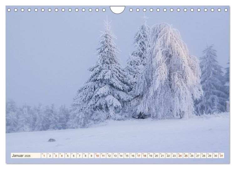 Produktbild: Im Zauber der W&auml;lder (Wandkalender 2026 DIN A4 quer), CALVENDO Monatskalender