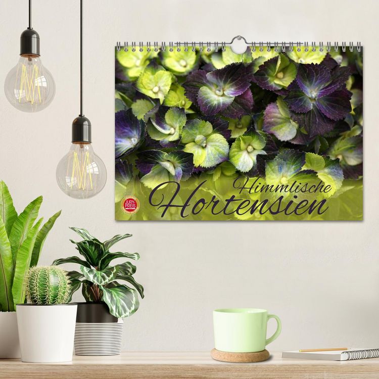 Produktbild: Himmlische Hortensien (Wandkalender 2026 DIN A4 quer), CALVENDO Monatskalender