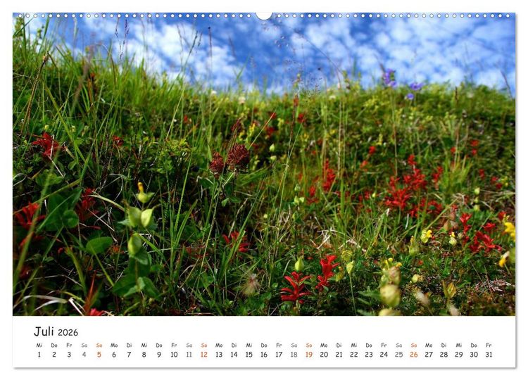 Produktbild: Nordnorwegen im Licht (Wandkalender 2026 DIN A2 quer), CALVENDO Monatskalender
