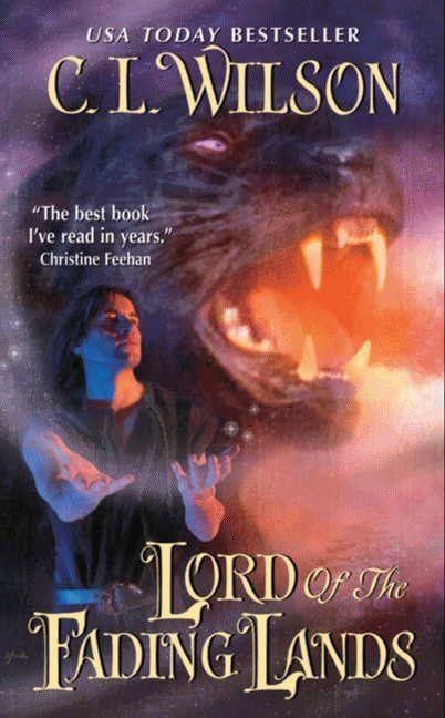 Produktbild: Lord of the Fading Lands