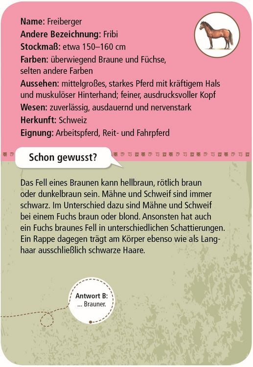 Produktbild: Expedition Natur - 50 Pferde & Ponys