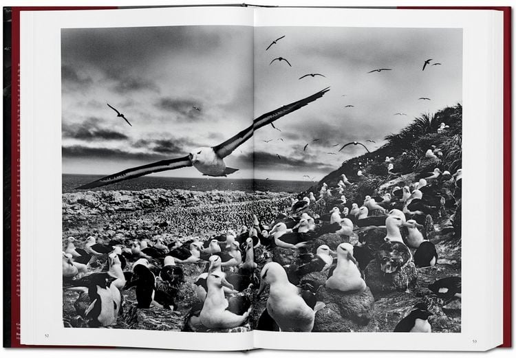Produktbild: Sebasti&atilde;o Salgado. GENESIS