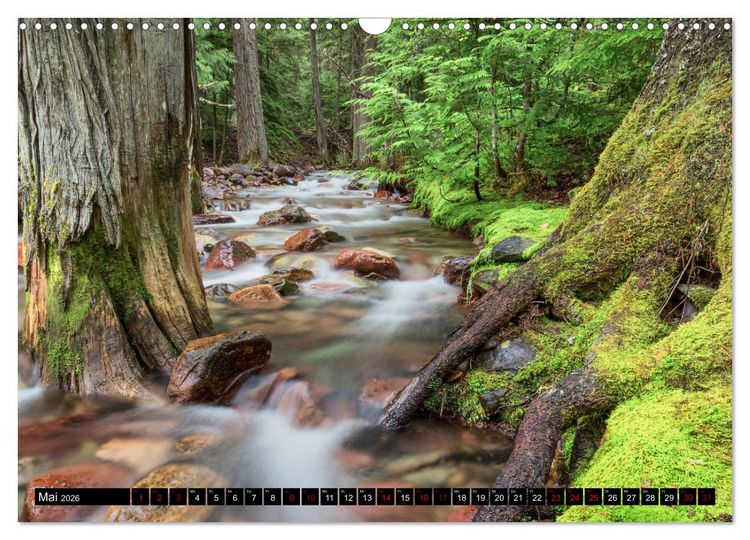 Produktbild: Waldwasser (Wandkalender 2026 DIN A3 quer), CALVENDO Monatskalender
