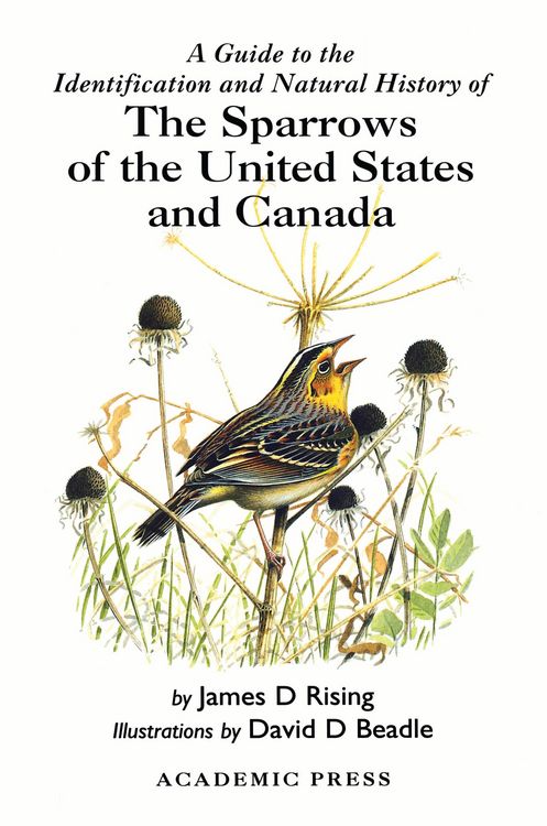 Produktbild: A Guide to the Identification and Natural History of the Sparrows of the United States and Canada