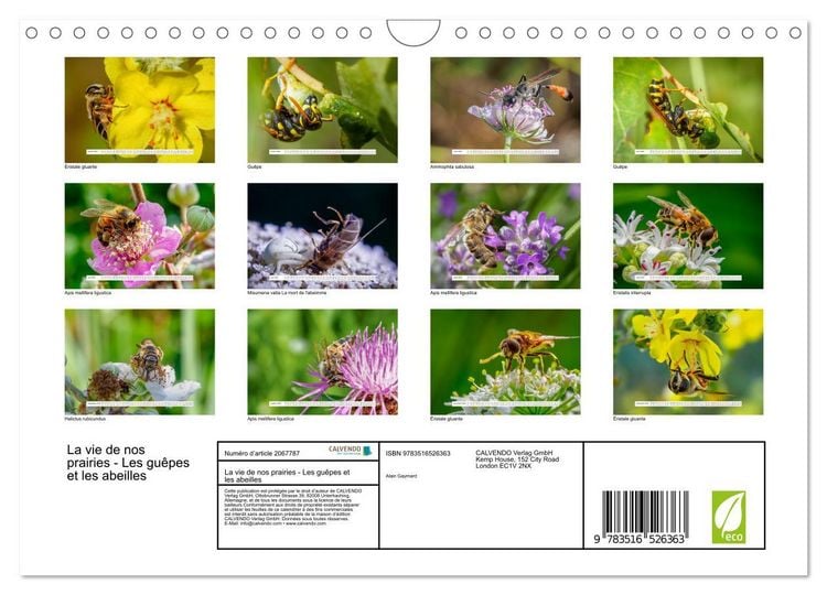 Produktbild: La vie de nos prairies - Les gu&ecirc;pes et les abeilles (Calendrier mural 2026 DIN A4 vertical), CALVENDO calendrier mensuel