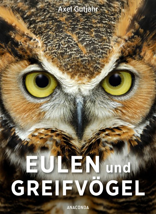 Produktbild: Eulen und Greifv&ouml;gel