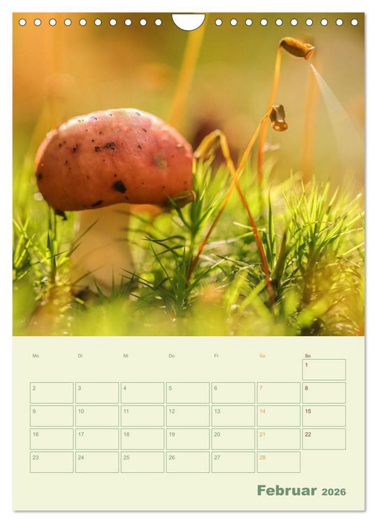 Produktbild: Waldmomente (Wandkalender 2026 DIN A4 hoch), CALVENDO Monatskalender