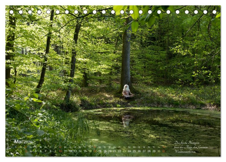 Produktbild: HAIKU AM TEICH (Tischkalender 2026 DIN A5 quer), CALVENDO Monatskalender