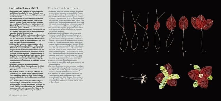 Produktbild: Flora ad infinitum