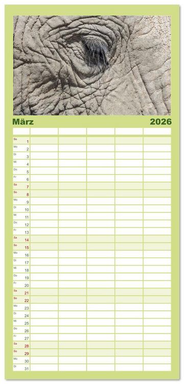 Produktbild: Familienplaner 2026 - Elefanten Begegnungen im &ouml;stlichen und s&uuml;dlichen Afrika mit 5 Spalten (Wandkalender, 21 x 45 cm) CALVENDO