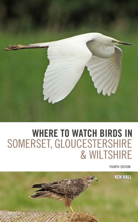 Produktbild: Where To Watch Birds in Somerset, Gloucestershire and Wiltshire