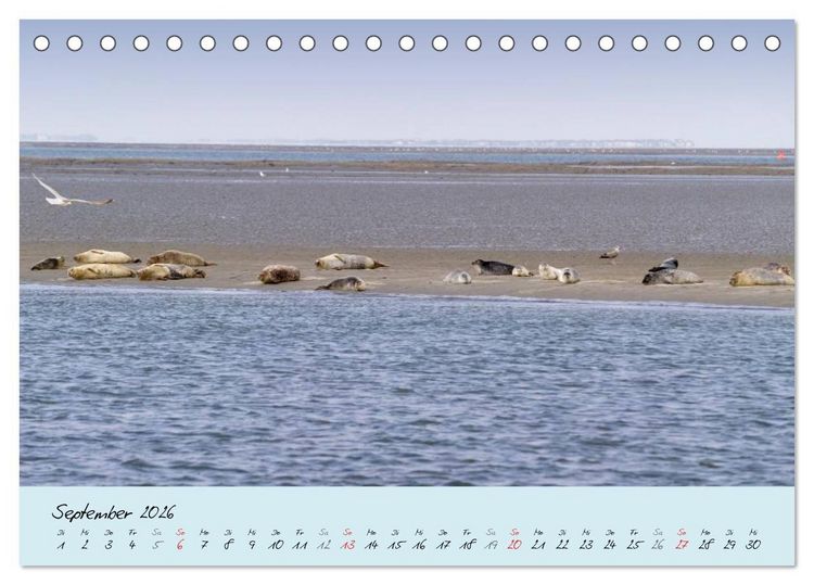 Produktbild: Nordsee &ndash; D&uuml;nen, Sand, Wasser und Wolken (Tischkalender 2026 DIN A5 quer), CALVENDO Monatskalender