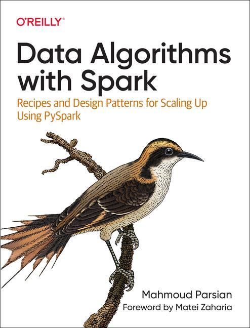 Produktbild: Data Algorithms with Spark