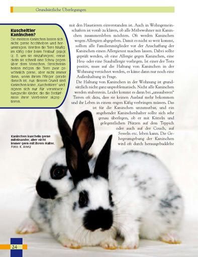 Produktbild: Leben mit Kaninchen