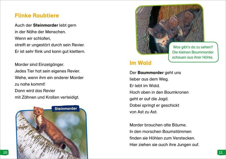 Produktbild: WAS IST WAS Erstes Lesen easy! Band 17. Tiere in der Nacht