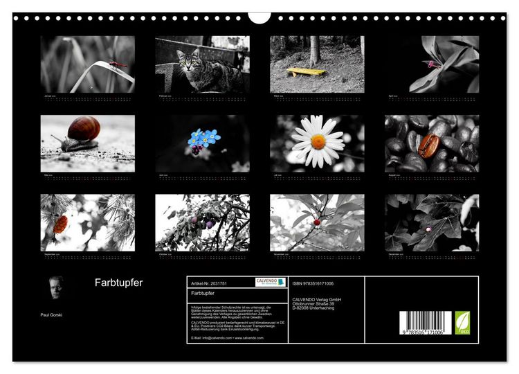 Produktbild: Farbtupfer (Wandkalender 2026 DIN A3 quer), CALVENDO Monatskalender